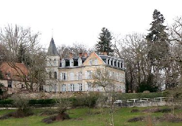 Trail Walking Néronde-sur-Dore - Neronde_Gens_Heureux - Photo