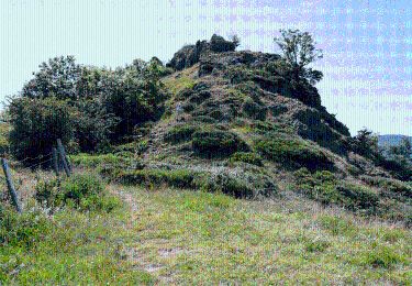 Trail Walking Jaunac - 2025-02-12_11h29m36_Jaunac 10km - Photo