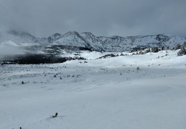 Tour Schneeschuhwandern La Llagonne - raquette jour 2 - Photo