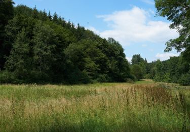 Tocht Te voet Aichwald - Wanderweg Aichwald 2 - Photo