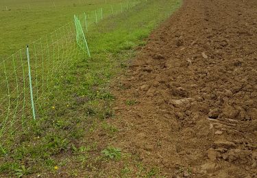 Trail Walking Clermont-Soubiran - Coteaux depuis maison Roiatti  - Photo