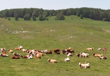 Tour Wandern Haut Valromey - RETORD: CRET DU NÛ - Photo