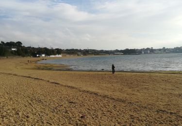 Trail Walking Le Relecq-Kerhuon - Bois du Costour- port de plaisance  - Photo