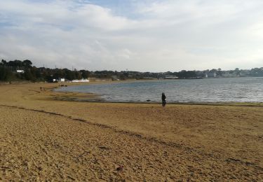 Randonnée Marche Le Relecq-Kerhuon - Bois du Costour- port de plaisance  - Photo