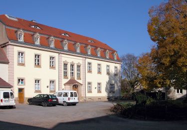 Excursión A pie Kreischa - Grüner Punkt - Photo