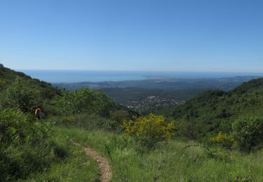 Tour Wandern Vence - Puy de Tourrettes et plateau de Saint Barnabé - Photo