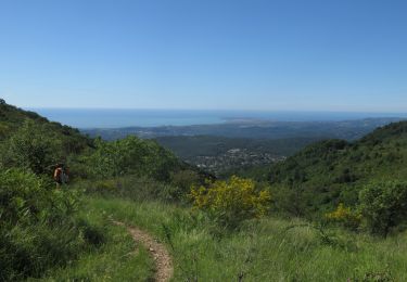 Trail Walking Vence - Puy de Tourrettes et plateau de Saint Barnabé - Photo