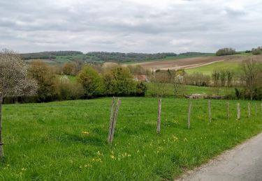 Percorso Marcia Chézy-sur-Marne - Chézy-sur-Marne du 19/04/2023 - Photo