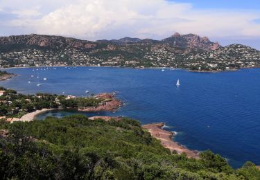 Trail Walking Saint-Raphaël - Boulouris 2 - Photo