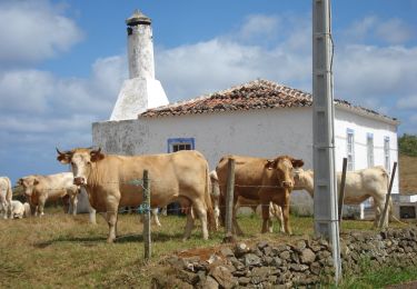 Tour Zu Fuß Santa Bárbara - PRC3SMA Entre a Serra e o Mar - Photo