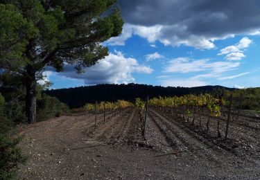 Tour Wandern Pierrefeu-du-Var - La Portanière - Photo