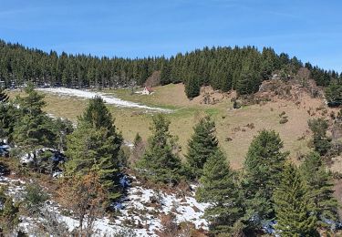 Excursión Senderismo Arrien-en-Bethmale - Les granges de la Serre depuis Tournac-La Bouche. - Photo