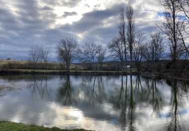 Trail Walking Aujols - Aujols lac de Fraysse  - Photo