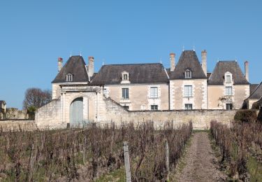 Trail Walking Coteaux-sur-Loire - Saint-Patrice Port-Charbonnier - via PRs et GRP - 24.7km 155m 5h15 (1h) - 2025 03 05 - Photo