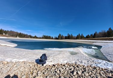 Tour Wandern Métabief - Mont d'or - Photo