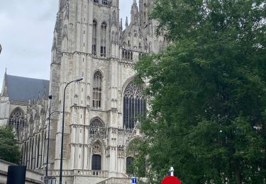 Trail Walking City of Brussels - Compostelle 1 : Bruxelles Cathédrale Saints Michel & Gudule - Uccle Calevoet - Photo