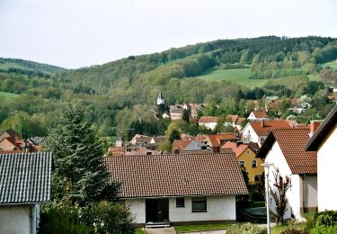 Percorso A piedi Ottweiler - Hartfüßlerweg Nordschleife - Photo