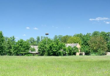 Trail On foot Burg (Spreewald) - Wanderweg gelber Balken - Photo