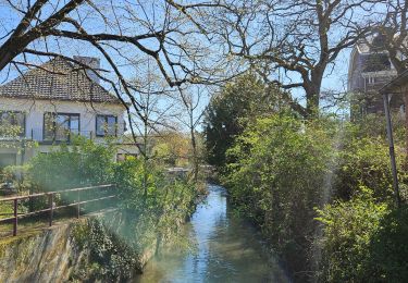 Trail Walking Bassenge - A la découverte de Glons 🥾 - Photo