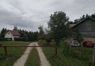 Trail Walking  - Montlebon Suisse La Brévine - Photo