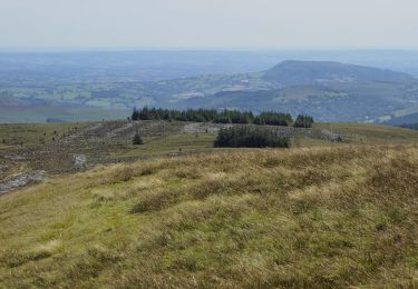 Randonnée A pied  - Black Mountains Fell Race - Photo