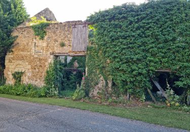 Trail Walking Villedômer - Villedômer - Photo