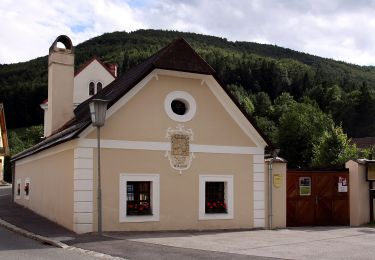 Excursión A pie Gemeinde Scheiblingkirchen-Thernberg - Scheiblingkirchen: Erzherzog Johann-Rundwanderweg - Photo