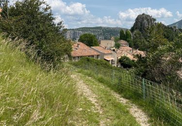 Excursión Senderismo Rougon - Mourre du chanier par rougon Réél - Photo