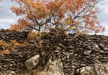 Tour Wandern Saint-Géry-Vers - Vers merlan pech picou - Photo