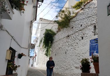 Excursión Senderismo Salares - De Salares au Cortijo Casa de Haro - Photo