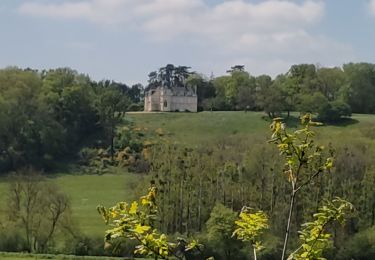 Tour Wandern L'Huisserie - Montigny bis - Photo