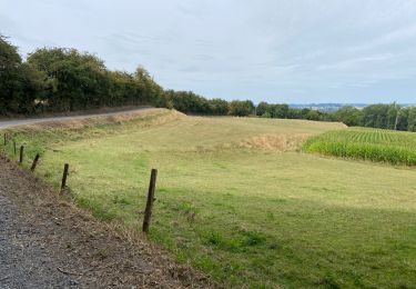 Randonnée Marche Kluisbergen - Kluisbergen Enclus 12 km - Photo