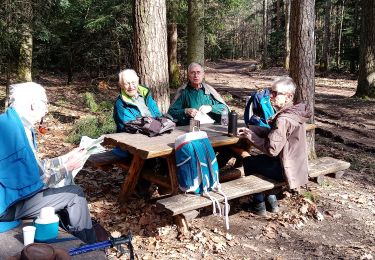 Trail Walking Guebwiller - Col du Dreibannstein (25/02/2021) - Photo