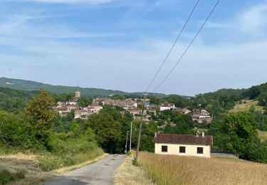 Trail Walking Verfeil-sur-Seye - Boucle verfeil  - Photo