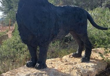 Randonnée Marche Le Castellet - Barres de Castillon par Bégude - Photo