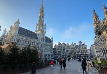 Trail Walking Asse - GR126 day 1 - From Mollen to Brussels Cathedral - Photo