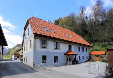 Trail On foot Kammern im Liesingtal - Rittersteig - Photo