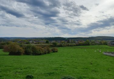 Tour Wandern Beauraing - Adeps Pondrôme via Revogne 10km 23-10-2022 - Photo