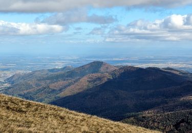 Tour Wandern Rufach - suuntoapp-Hiking-2023-10-22T08-43-15Z - Photo