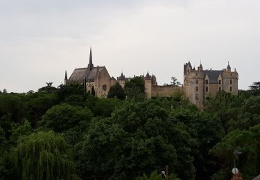 Randonnée Marche Montreuil-Bellay - Montreuil-Bellay  - Photo