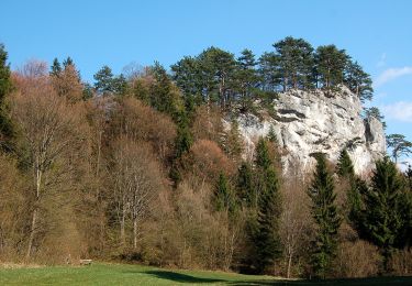 Percorso A piedi Gemeinde Gutenstein - Gutenstein - Purbach (Kasperhof) - Thal - Photo