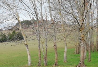 Excursión Senderismo Ceyrat - Tour  Puy de Montrognon - Photo