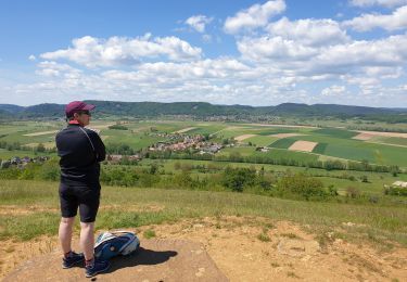 Randonnée Marche Dossenheim-sur-Zinsel - Le Bastberg depuis Dossenheim-sur-Zinsel - Photo