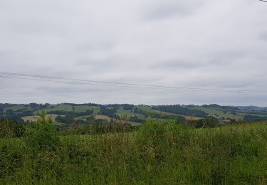 Randonnée Voiture Tarsacq - CcLO Artix Lacq Mourenx 14.06.19 - Photo