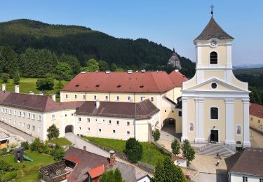 Tour Zu Fuß Gemeinde Kirchberg am Wechsel - Spazierweg 10 - Photo