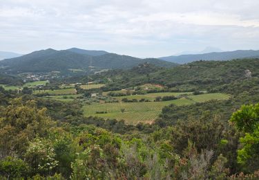Trail Walking La Londe-les-Maures - Dolmen - Photo