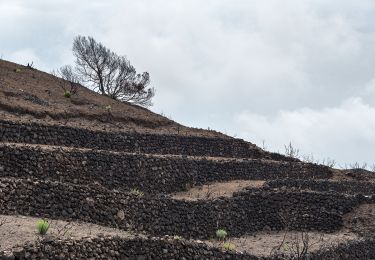 Randonnée A pied Pantelleria - Bagno Asciutto di Benikulá - Favara Grande - Tráçino - Photo