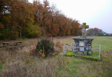 Randonnée Marche Truyes - Truyes - La Croix de l'Apothicaresse - 19.9km 125m 4h20 (25mn) - 2021 11 20 - Photo