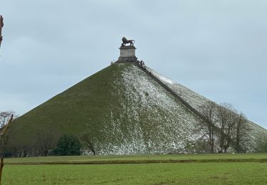 Percorso Marcia Braine-l'Alleud - Butte du lion de Waterloo  - Photo