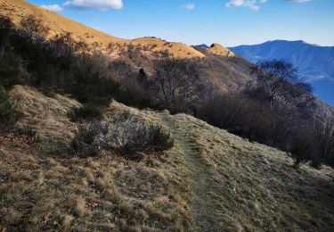 Trail On foot Carate Urio - Carate Urio - Rifugio Murelli - Photo